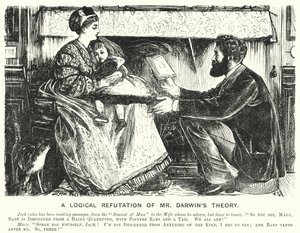 Cartone animato di Punch: Una confutazione logica della teoria di Darwin da English School