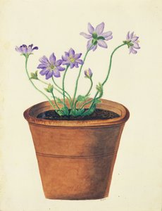 Fiori Viola in un Vaso di Terracotta, c.1825