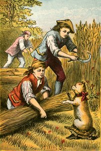 Il gatto minaccia i mietitori