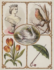 Regina, Robin, Cigno, Tulipano, Ombrello (litografia a colori) da English School