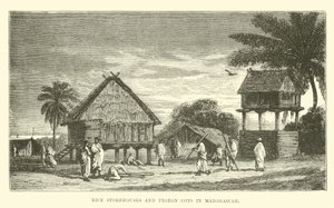 Magazzini di riso e colombaie in Madagascar da English School