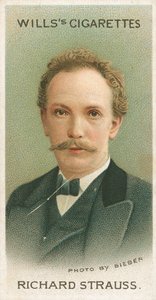 Richard Strauss da English School