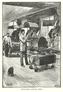 Tostatura di cacao (incisione) da English School