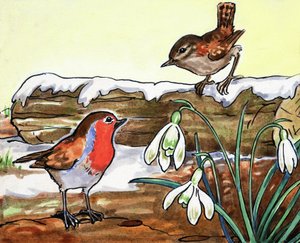 Pettirosso e Jenny Wren da English School