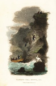 Cacciatori di rocce che cacciano uccelli skua e uova nelle Isole Faroe da English School