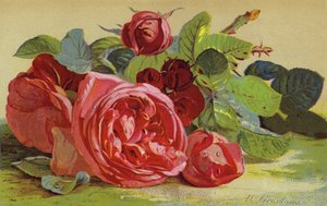 Rose, il Duca di Edimburgo