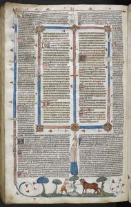 Uomo che attacca un bue, dai Decretali di Smithfield (Decretali di Gregorio IX) c.1340