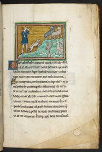 Un cacciatore o contadino con cani, che insegue capre, da Bestiario, Lapidario, 2° quarto del XIII secolo
