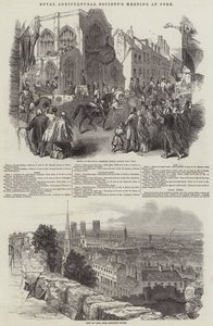 Riunione della Royal Agricultural Society, a York (incisione)