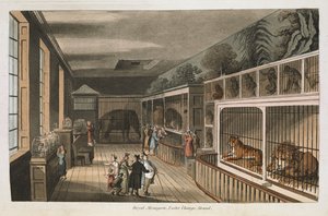 Menagerie reale, Exeter (Change Exchange), Strand. Seleziona vedute di Londra: con schizzi storici e descrittivi di alcuni degli edifici pubblici più interessanti / compilato e organizzato da J.B. Papworth. John Buonarotti Papworth Londra da English School