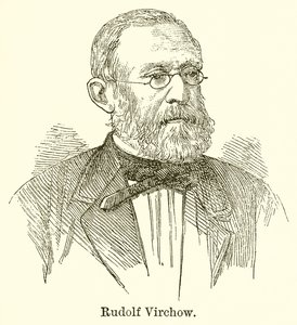 Rudolf Virchow da English School