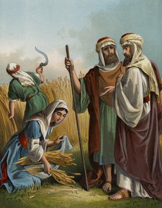 Ruth che spigola nel campo di Boaz