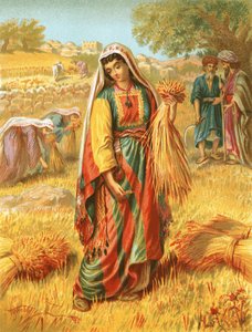 Ruth nel campo di grano