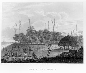 Marinai che raccolgono provviste a Car Nicobar, da Viaggi e Viaggi in India, Ceylon, Il Mar Rosso... di George, Visconte Valentia, pubblicato nel 1809 da English School