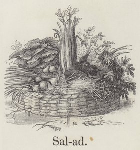Insalata