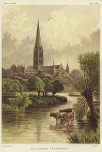 Cattedrale di Salisbury a Salisbury da English School