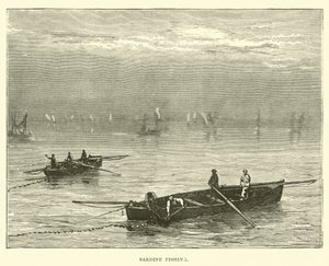 Pesca delle sardine da English School