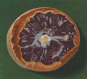 Ciottolo marino da English School