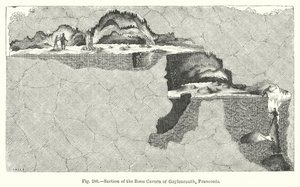 Sezione della caverna ossea di Gaylenreuth, Franconia da English School