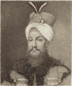 Selim II da English School