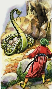 Serpente che protegge le sue uova da English School