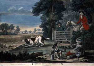 Cane da Ferma e Pernici, pub. da Carington Bowles (fl.1744-93) da English School
