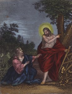 Lei, supponendo che fosse il giardiniere di Giuseppe, disse... da English School