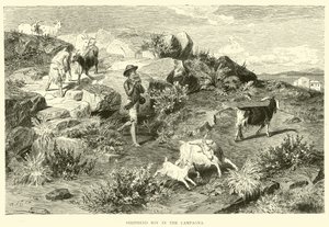 Pastorello nella Campagna