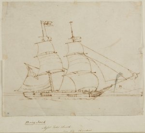 Ritratto di Nave - Brigantino Jack da English School