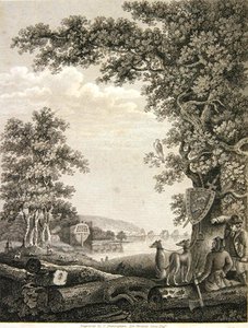 Costruttori di navi nella New Forest, inciso da C. Sheringham per Percival Lewis da English School