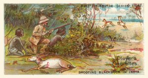 Riprese di Blackbuck in India (chromolitho)