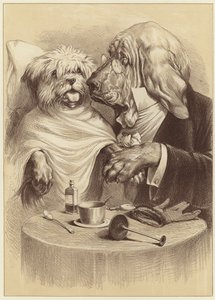 Mostra la tua lingua