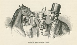 Mostra dei denti del cavallo (incisione) da English School