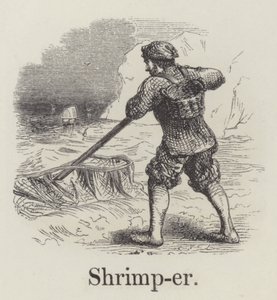 Pescatore di gamberi