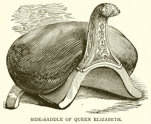 Sella Laterale della Regina Elisabetta da English School