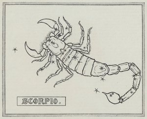 Segni dello zodiaco: Scorpione da English School