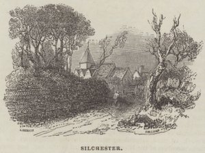 Silchester (incisione) da English School