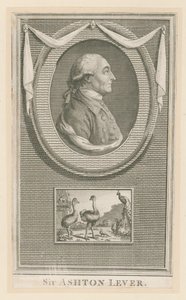 Sir Ashton Lever da English School