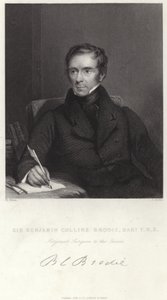 Sir Benjamin Collins Brodie da English School