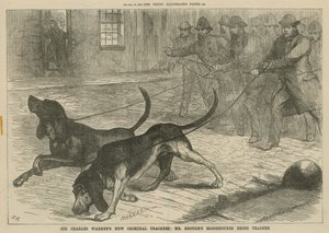 I nuovi segugi criminali di Sir Charles Warren: i segugi di Mr Brough in addestramento