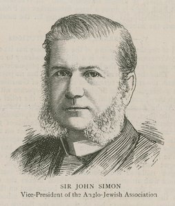Sir John Simon, Vicepresidente dell