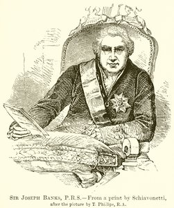 Sir Joseph Banks da English School