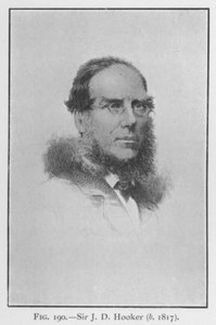Sir Joseph Dalton Hooker (1817-1911), ritratto da English School