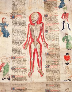 Scheletro, da De arte phisicali e de cirugia di John Ardene, 1412