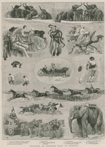 Schizzi allo spettacolo di Barnum a Olympia, Londra da English School
