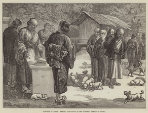 Schizzi in Giappone, nutrire cuccioli di cane al tempio buddista di Oyama da English School