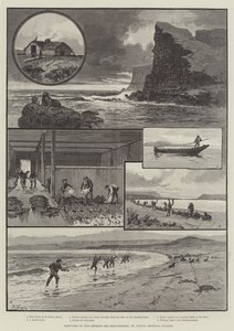 Schizzi della Pesca alle Foche nel Mare di Behring, St Paul