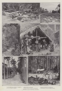 Schizzi sul Confine Venezuelano (litografia) da English School