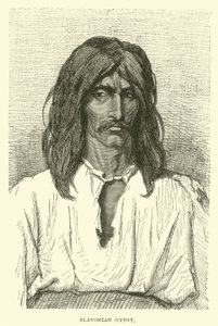 Zingaro di Slavonia da English School