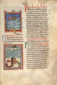 Sloane Ms 1975 fol.48 L